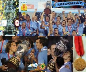 yapboz Uruguay Şampiyonu Copa America 2011